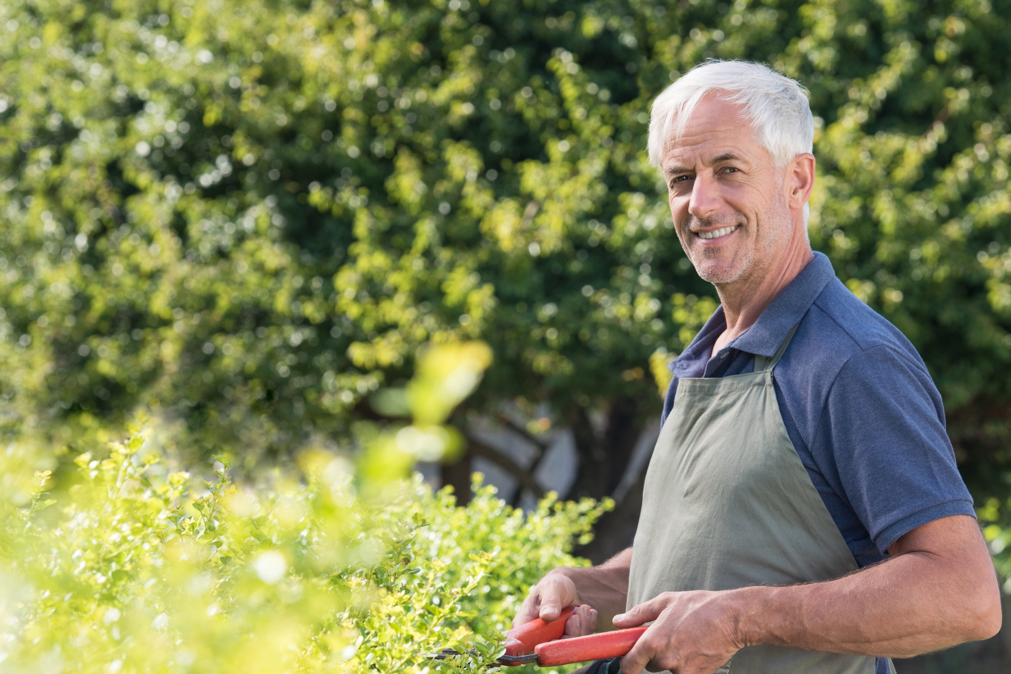 happy middle-aged man trimming shrubs in his yard outside