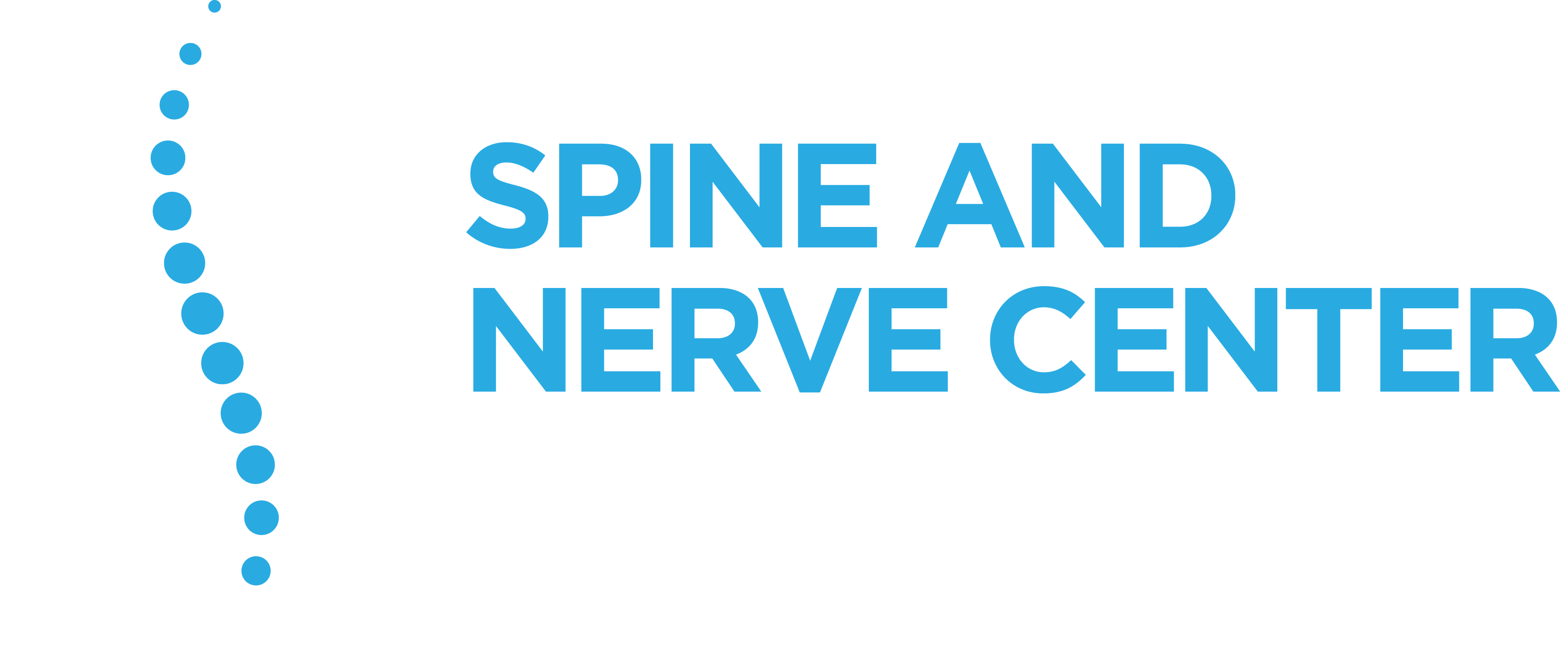written transparent Spine and Nerve Center Riverviw logo in blue and white